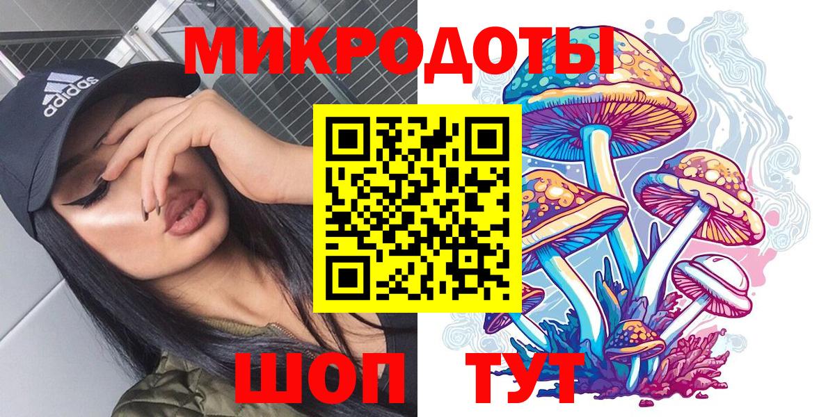 Галлюциногенные грибы Psilocybe  Вход с VPN  Йошкар-Ола 